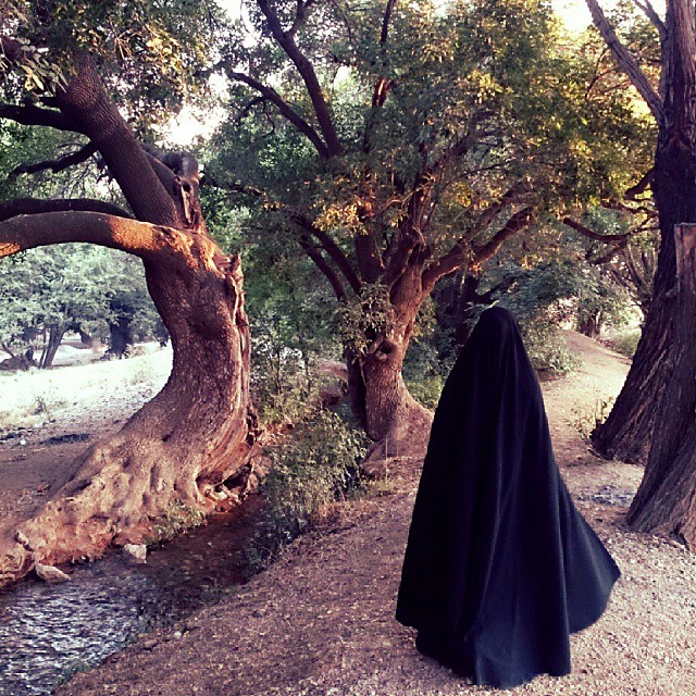 حجاب برتر چادر